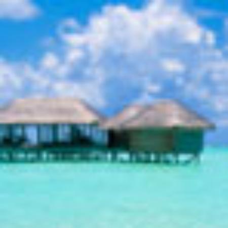 Ambarsari Kulche Te Chaapan